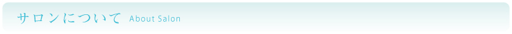 サロンについて