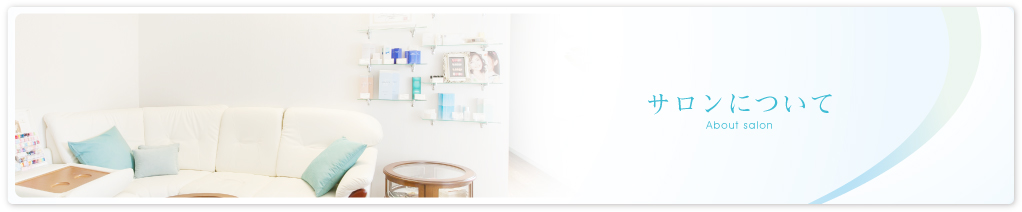 サロンについて
